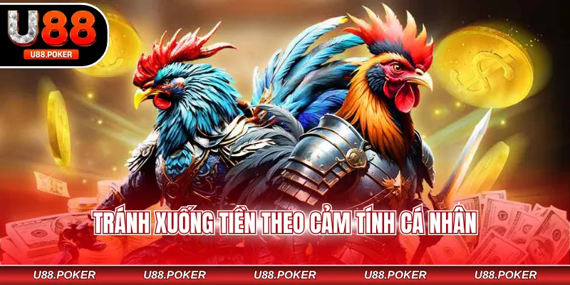 Tránh xuống tiền theo cảm tính cá nhân
